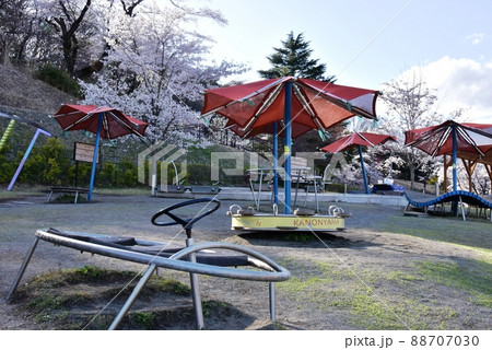 群馬県高崎市 観音山公園のケルナー広場と遊具と満開桜と散策路 群馬県高崎市 観音山公園のケルナー広場と遊具と満開桜と散策路 88707030