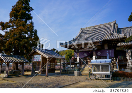 地蔵寺(四国八十八ヶ所霊場第5番札所)　本堂 88707386