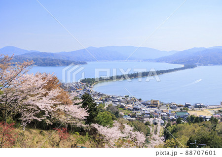 桜満開の笠松公園からの天橋立 88707601