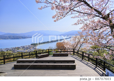 桜満開の笠松公園からの天橋立 88707603