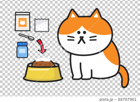將藥物與貓糧混合的插圖 88707901