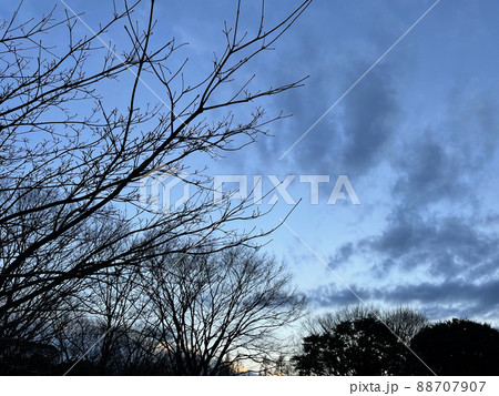 冬の東京の夕暮れ 88707907