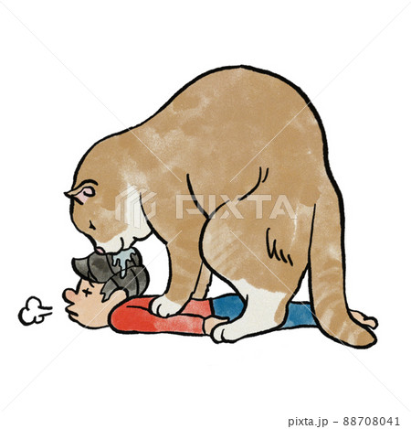 猫のマッサージ屋さんのイラスト素材