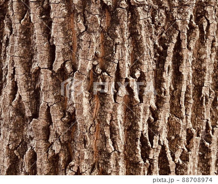 木 背景素材 003 木 背景素材 003 88708974