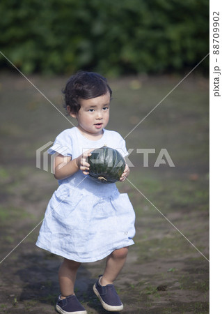 カボチャを持って歩く農家の幼児 88709902