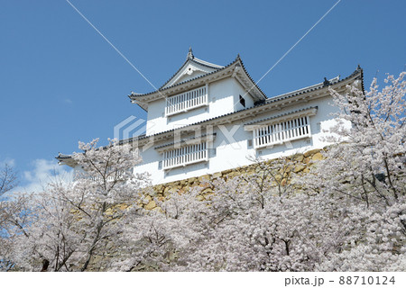春の津山城　備中櫓　岡山県津山市山下 88710124