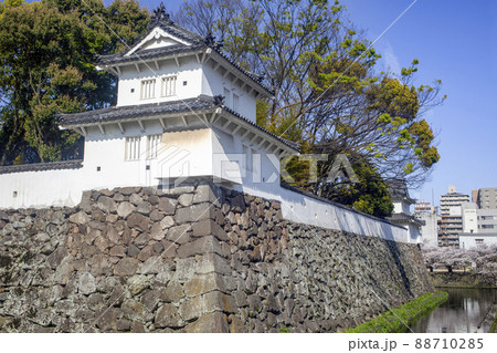 大分　府内城址と桜 88710285