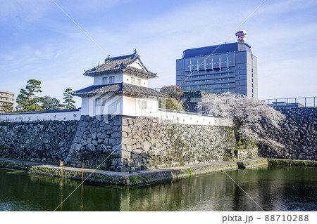 大分 府内城址と桜 大分 府内城址と桜 88710288