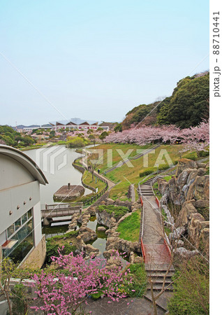 北九州市の中央部にある春の福岡県営中央公園金毘羅池と体育館 88710441