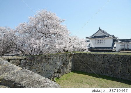 春の津山城 天守台から望む備中櫓 岡山県津山市山下 春の津山城 天守台から望む備中櫓 岡山県津山市山下 88710447
