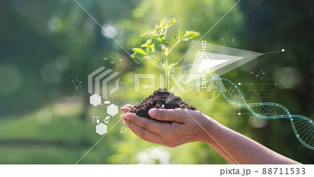 Biology laboratory nature and science, Plants with biochemistry structure and chemical formula on green background. 88711533
