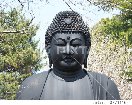 東京大仏 乗蓮寺 板橋区赤塚 東京大仏 乗蓮寺 板橋区赤塚 88711562
