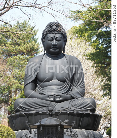 東京大仏 乗蓮寺 板橋区赤塚 東京大仏 乗蓮寺 板橋区赤塚 88711563