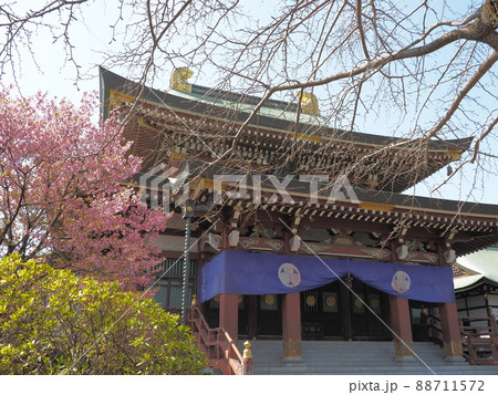 東京大仏 乗蓮寺 板橋区赤塚 東京大仏 乗蓮寺 板橋区赤塚 88711572