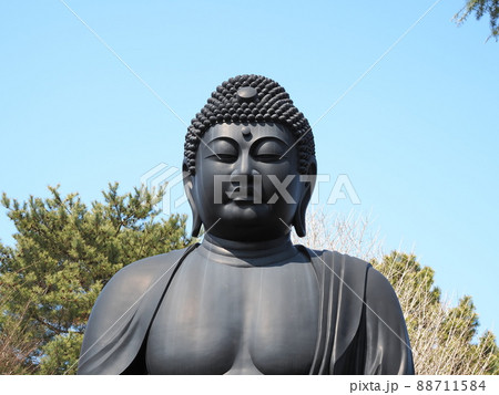 東京大仏 乗蓮寺 板橋区赤塚 東京大仏 乗蓮寺 板橋区赤塚 88711584