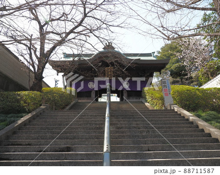 東京大仏 乗蓮寺 板橋区赤塚 東京大仏 乗蓮寺 板橋区赤塚 88711587