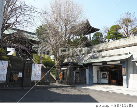 東京大仏 乗蓮寺 板橋区赤塚 東京大仏 乗蓮寺 板橋区赤塚 88711588