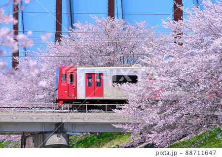 桜の海2 桜の海2 88711647