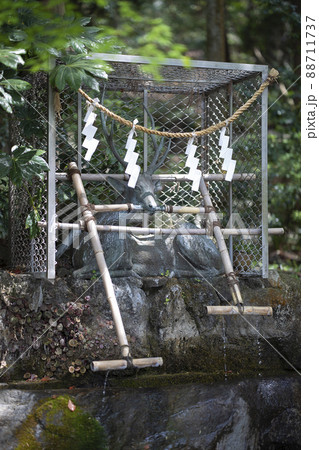 大阪府東大阪市出雲井町にある枚岡神社の手水舎 大阪府東大阪市出雲井町にある枚岡神社の手水舎 88711737