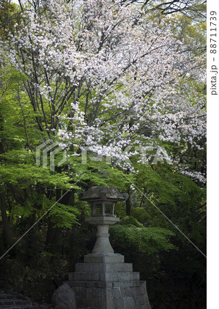 大阪府東大阪市出雲井町にある枚岡神社の大石燈籠 大阪府東大阪市出雲井町にある枚岡神社の大石燈籠 88711739