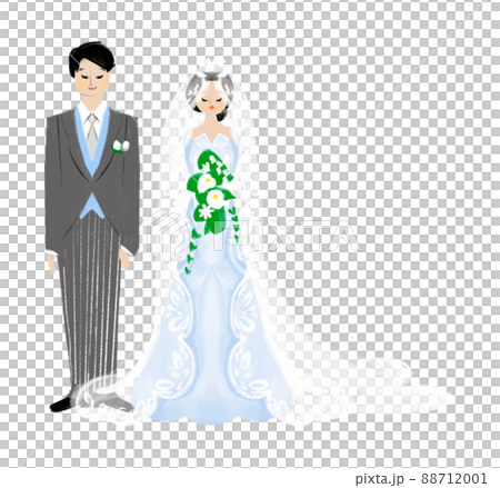 Bride and groom illustration Bride and groom illustration 88712001
