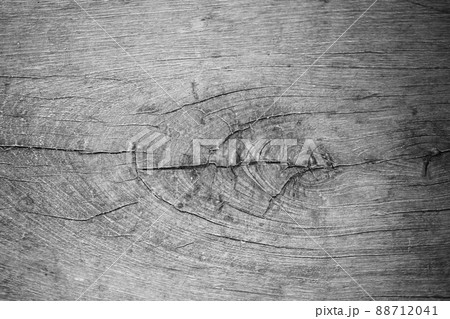 old white bright wooden texture, wood background panorama,gray. wood texture with natural feel design figure. old white bright wooden texture, wood background panorama,gray. wood texture with natural feel design figure. 88712041