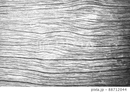 old white bright wooden texture, wood background panorama,gray. wood texture with natural feel design figure. old white bright wooden texture, wood background panorama,gray. wood texture with natural feel design figure. 88712044