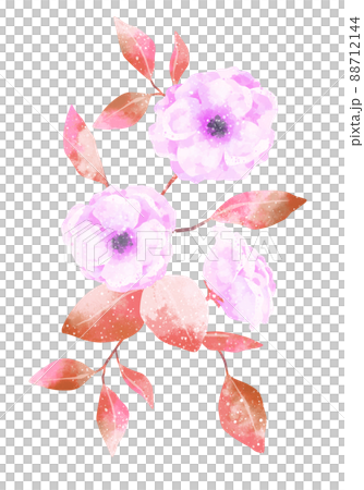 Anemone frame with a gentle touch 88712144