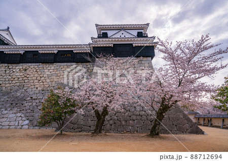 (愛媛県)松山城 城壁と石落とし (愛媛県)松山城 城壁と石落とし 88712694