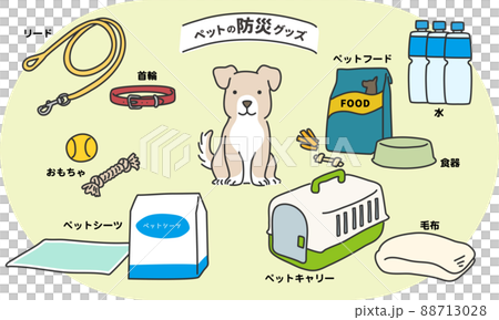 ペットの防災グッズ　イヌ編 88713028