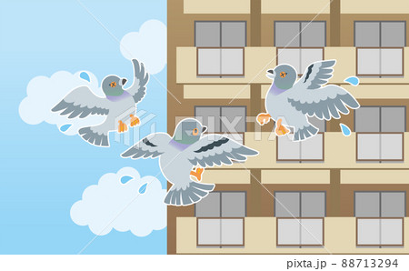 鳩よけイラスト 88713294