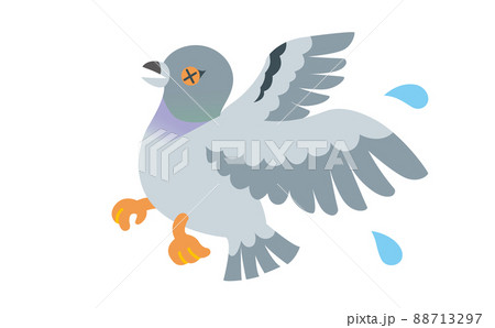 鳩よけイラスト 88713297