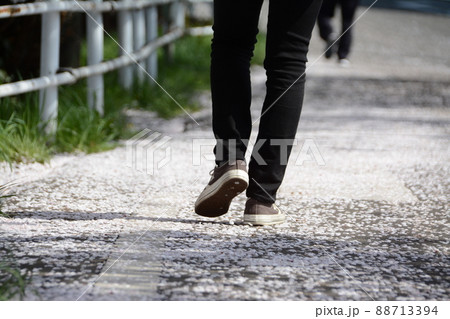 桜の散った道路を歩く男性 88713394