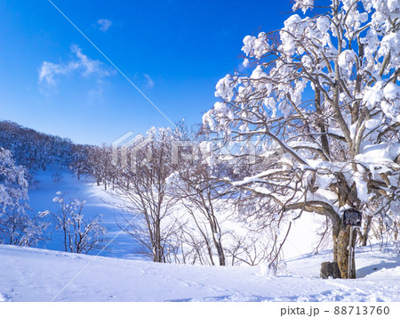 ゲレンデコース外の雪に覆われた沼 (山形県、蔵王温泉スキー場、ドッコ沼) 88713760