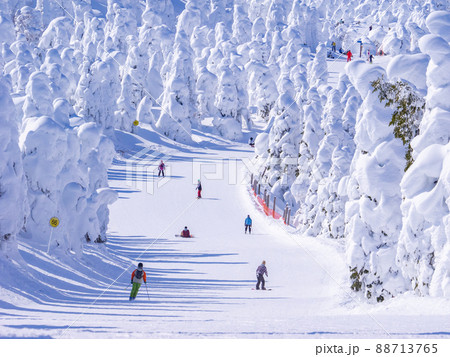 樹氷原の中を滑走する人々 (山形県、蔵王温泉スキー場) 88713765