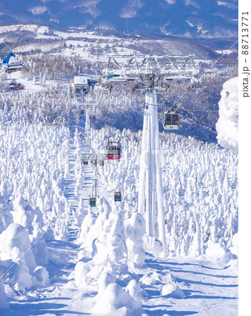 樹氷原の上空を通るロープウェイ (山形県、蔵王温泉スキー場) 88713771