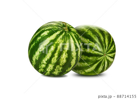 Two green, striped watermelons isolated on white with copy space for text, images. Berry with pink flesh, black seeds. Side view. Close-up. 88714155