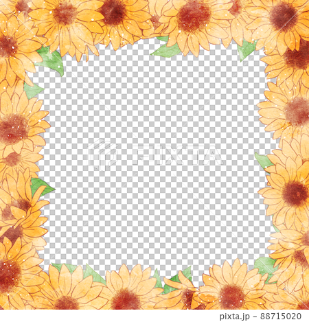 Background material_watercolor style_sunflower 88715020