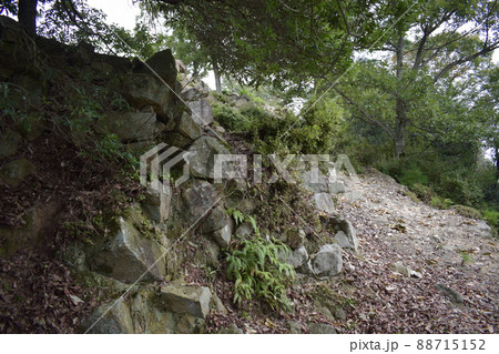 感状山城の曲輪と石垣 88715152