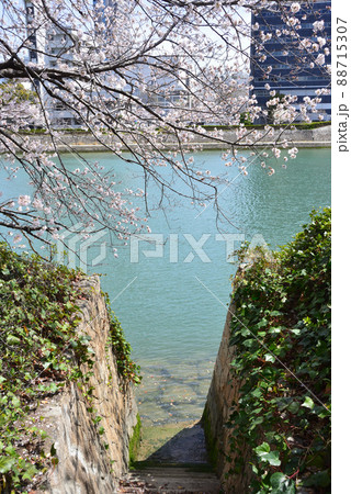 広島市の太田川（本川）に残る雁木 88715307
