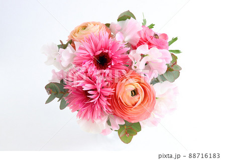 ガーベラとラナンキュラス 88716183