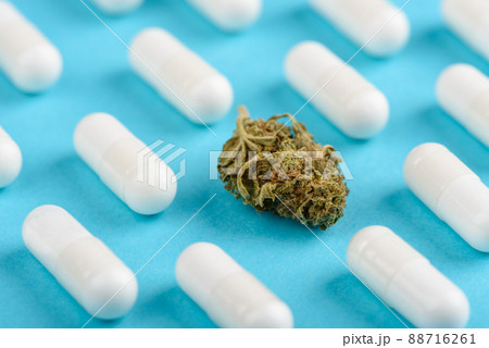 CBD cannabis bud among white capsules pattern CBD cannabis bud among white capsules pattern 88716261