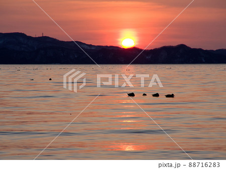 猪苗代湖の夕景。赤く染まる湖面に水鳥のシルエットと落日のオレンジ色の太陽が綺麗だ。 88716283
