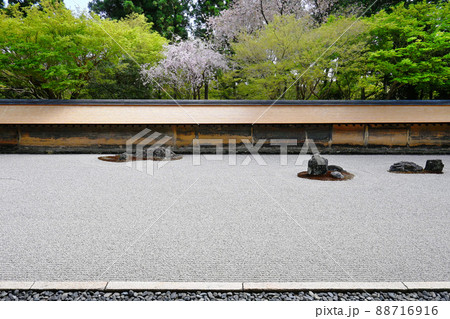 桜の季節に参拝した京都市の世界遺産龍安寺の石庭 88716916