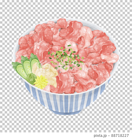 Hand-painted watercolor style illustration of Negitoro bowl Hand-painted watercolor style illustration of Negitoro bowl 88718227