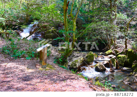 七ツ滝 一の滝 能美市 七ツ滝 一の滝 能美市 88718272