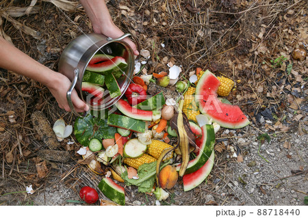 Domestic waste for compost from fruits and vegetables. Woman throws garbage. Domestic waste for compost from fruits and vegetables. Woman throws garbage. 88718440
