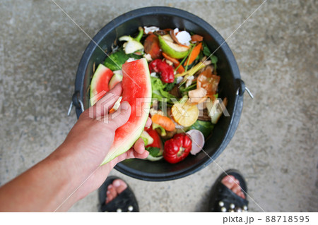 Domestic waste for compost from fruits and vegetables. Woman throws garbage. Domestic waste for compost from fruits and vegetables. Woman throws garbage. 88718595