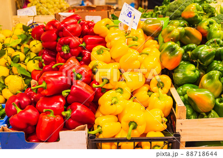 イタリアン食材　青果　フィレンツェ中央市場 88718644