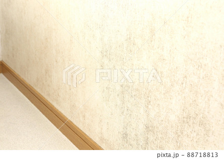 水回りのカビ 水回りのカビ 88718813